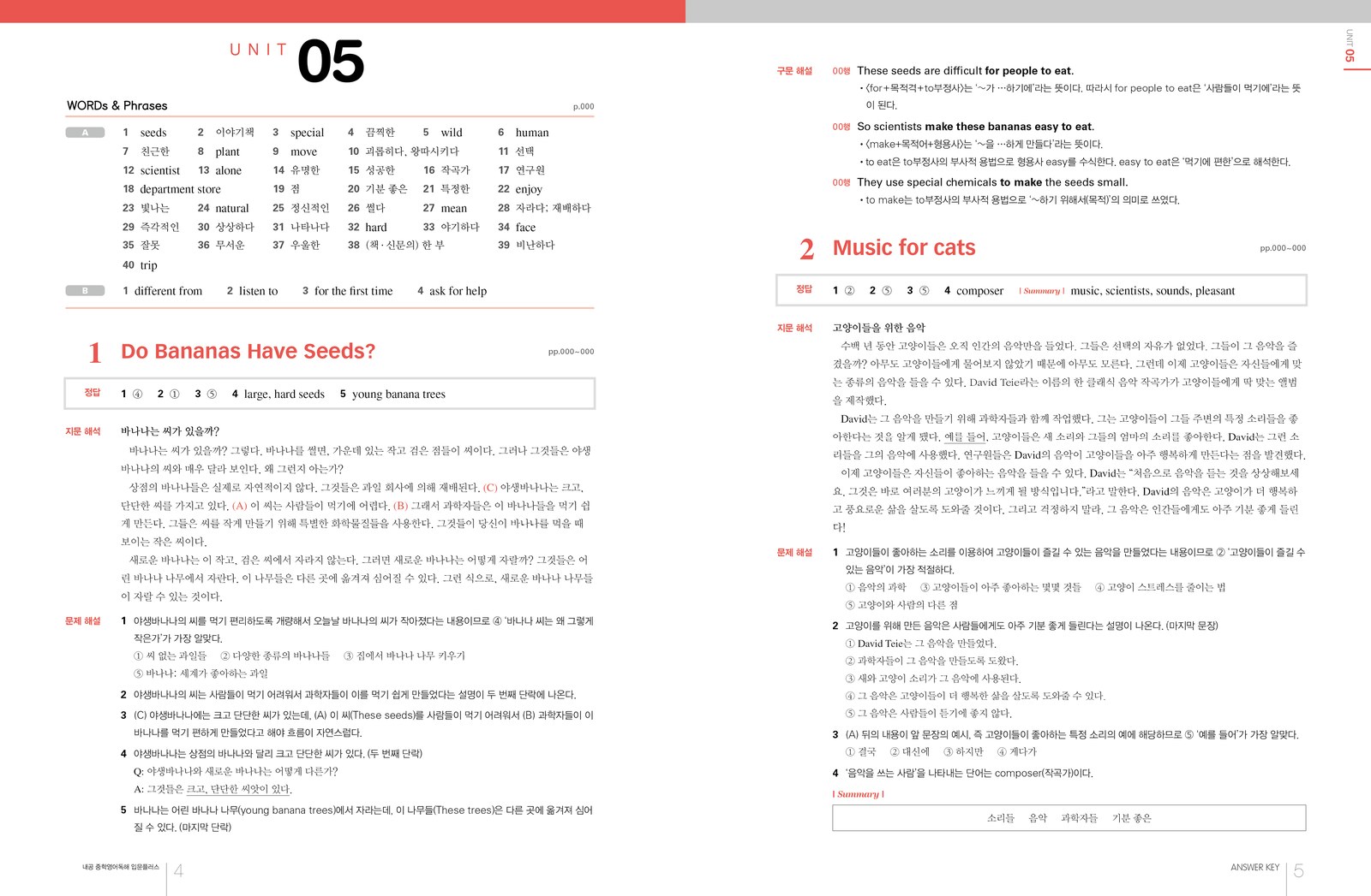 내공중학영어 독해 내지 9번째 펼침면 왼쪽 지면 디자인