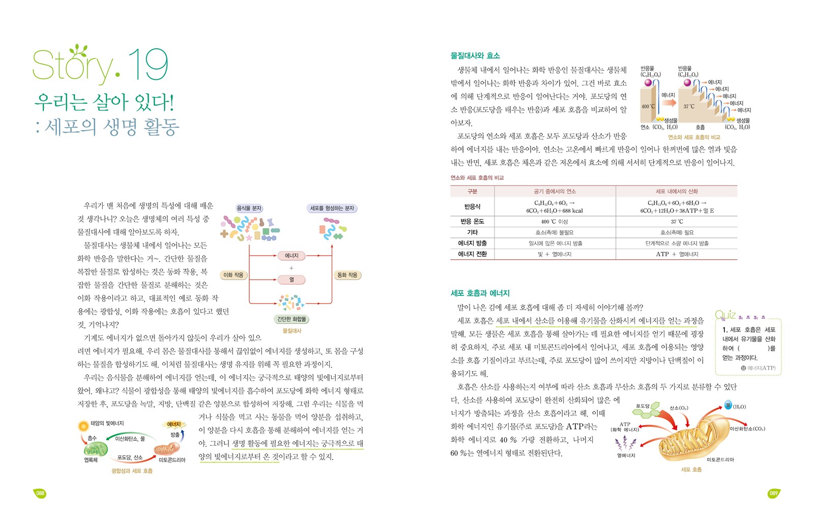 엔트리 박선오의 개풀강의 생명 과학 1 내지 4번째 펼침면 왼쪽 지면 디자인