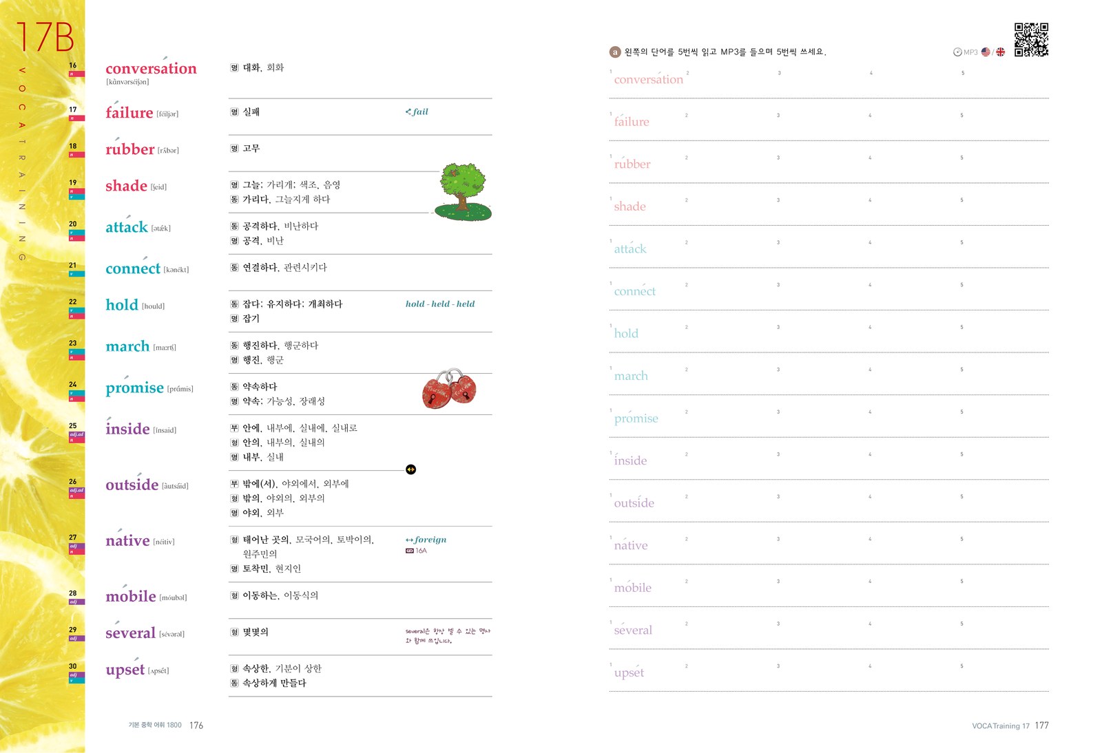 단어체화훈련 내지 4번째 펼침면 왼쪽 지면 디자인